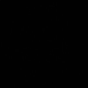 Meet your Posher, Hailey